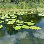 Dobrostan W Naturze * Szafarnia (Warmian-Masurian)