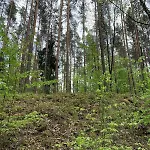 Ferienhaus Dobrostan W Naturze *