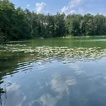 Dobrostan W Naturze