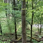 Dobrostan W Naturze Ferienhaus *