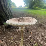 Dobrostan W Naturze Ferienhaus Szafarnia (Warmian-Masurian)