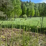 Ferienhaus Dobrostan W Naturze Szafarnia (Warmian-Masurian)