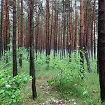 Dobrostan W Naturze Ferienhaus