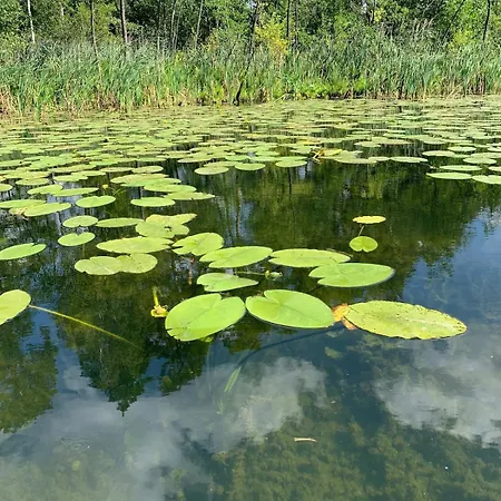 Dobrostan W Naturze * Szafarnia (Warmian-Masurian)
