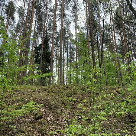 Holiday home Dobrostan W Naturze *