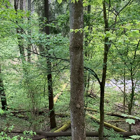 Dobrostan W Naturze Holiday home *