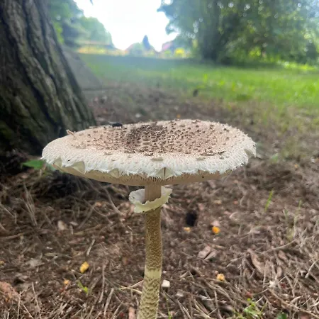 Dobrostan W Naturze Дом отдыха Szafarnia (Warmian-Masurian)