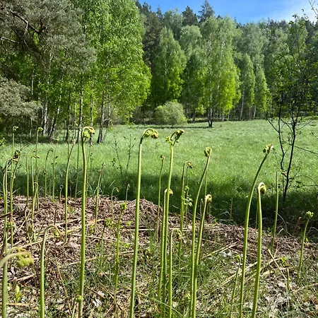 Holiday home Dobrostan W Naturze Szafarnia (Warmian-Masurian)