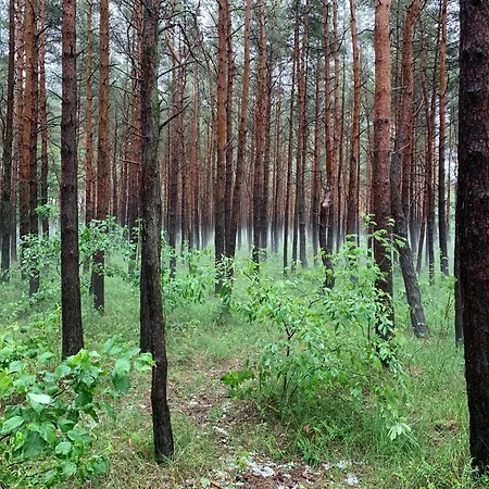 Dobrostan W Naturze Дом отдыха