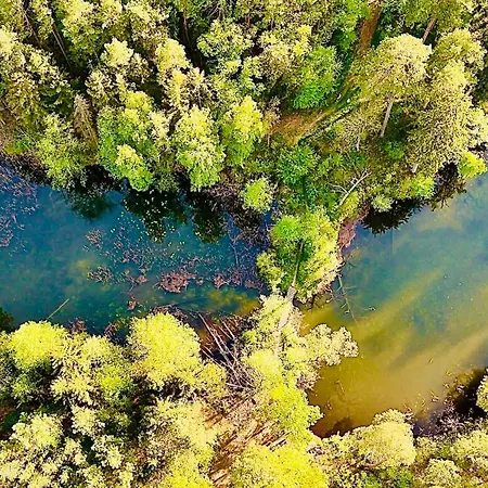 Dobrostan W Naturze *